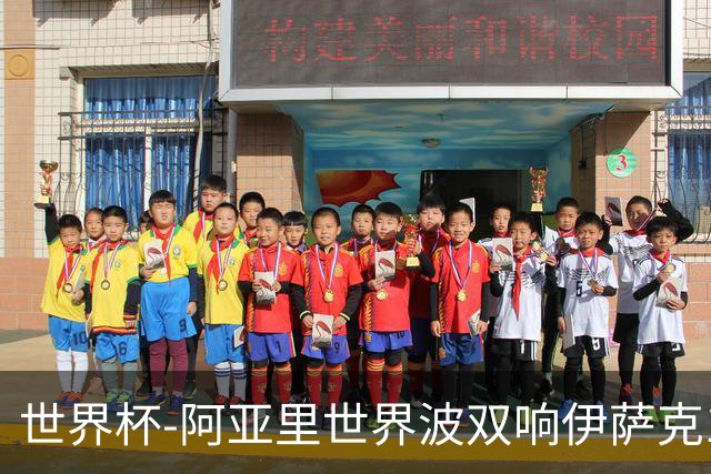 世界杯-阿亚里世界波双响伊萨克1射2传 瑞典5-1突尼斯