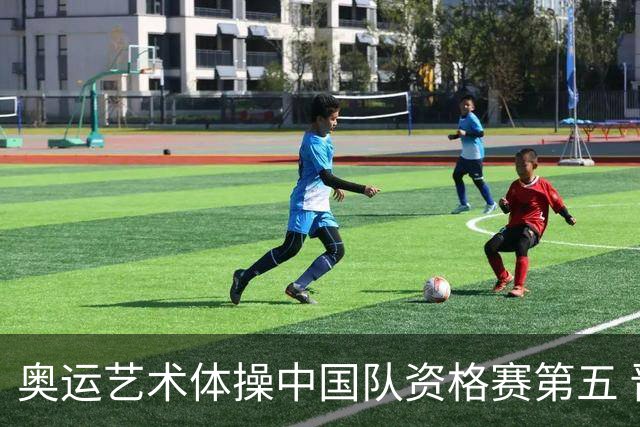 奥运艺术体操中国队资格赛第五 晋级集体全能决赛