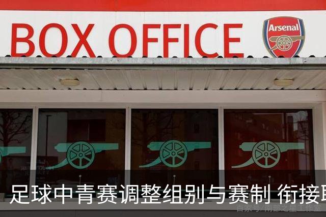 足球中青赛调整组别与赛制 衔接职业联赛